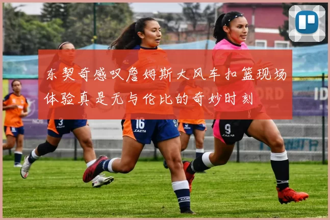 东契奇感叹詹姆斯大风车扣篮现场体验真是无与伦比的奇妙时刻